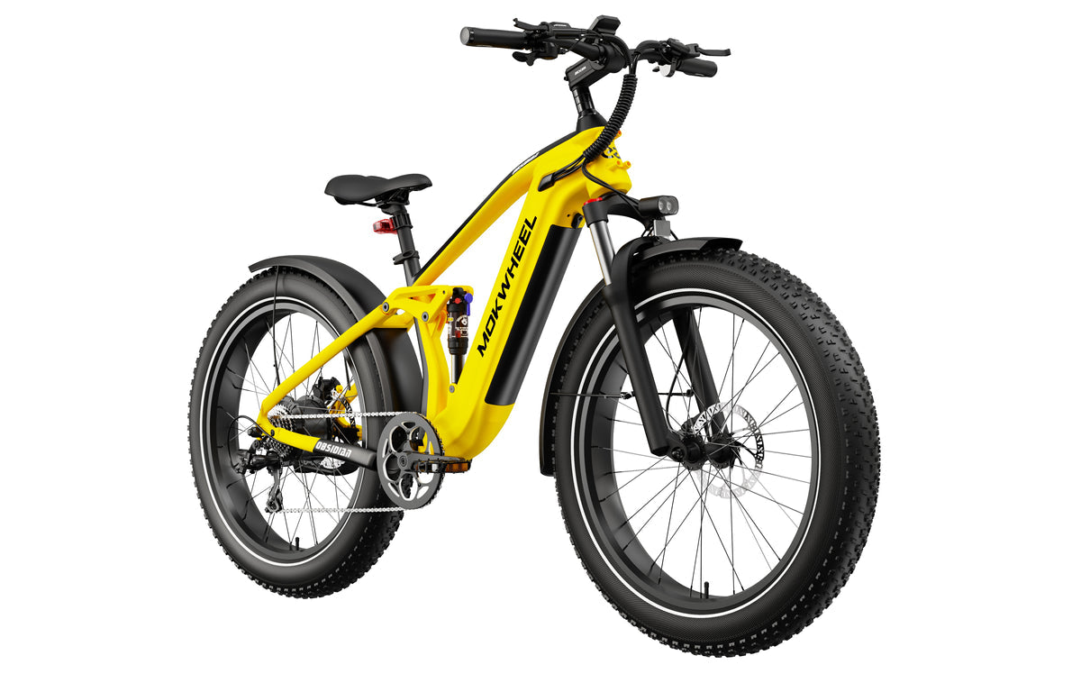 Mokwheel Obsidian eBike