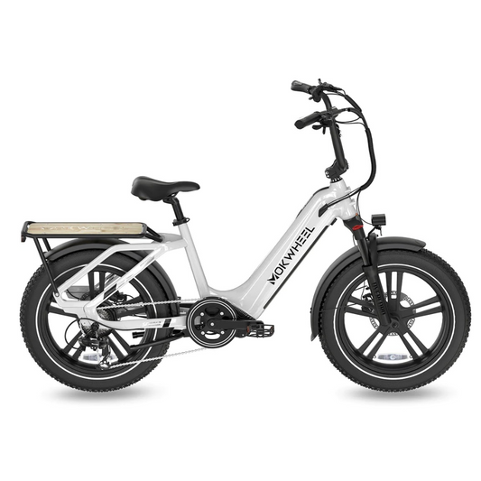 Mokwheel Scoria eBike