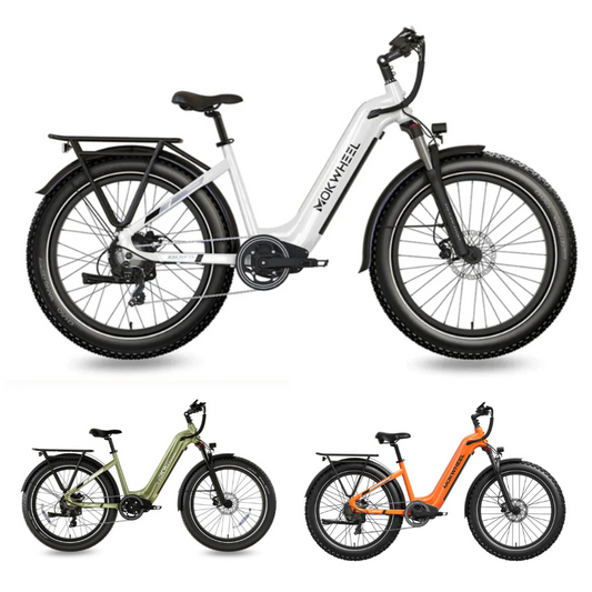 Mokwheel Basalt 2.0 Step-Through Commuter eBike