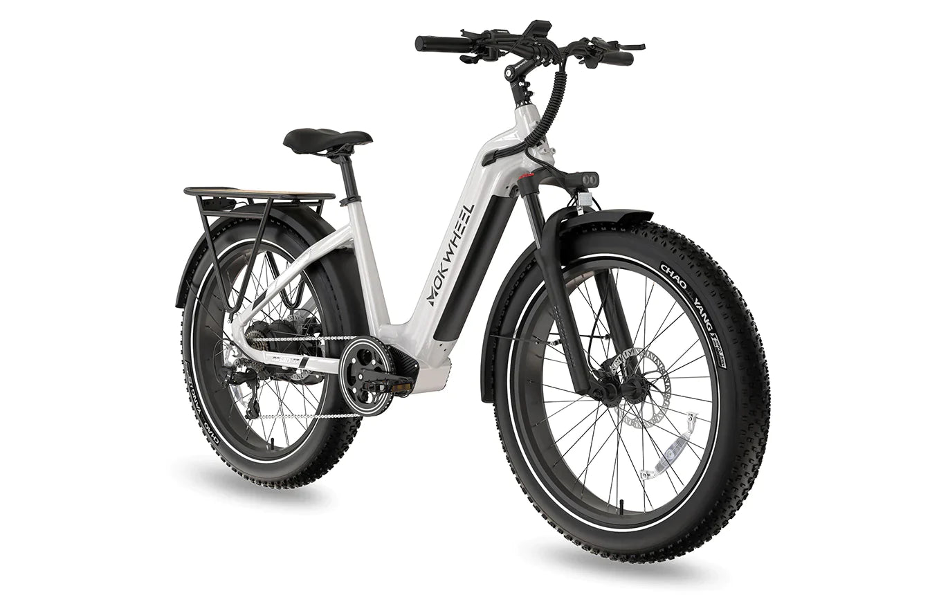 Mokwheel Basalt Step-Through Commuter eBike