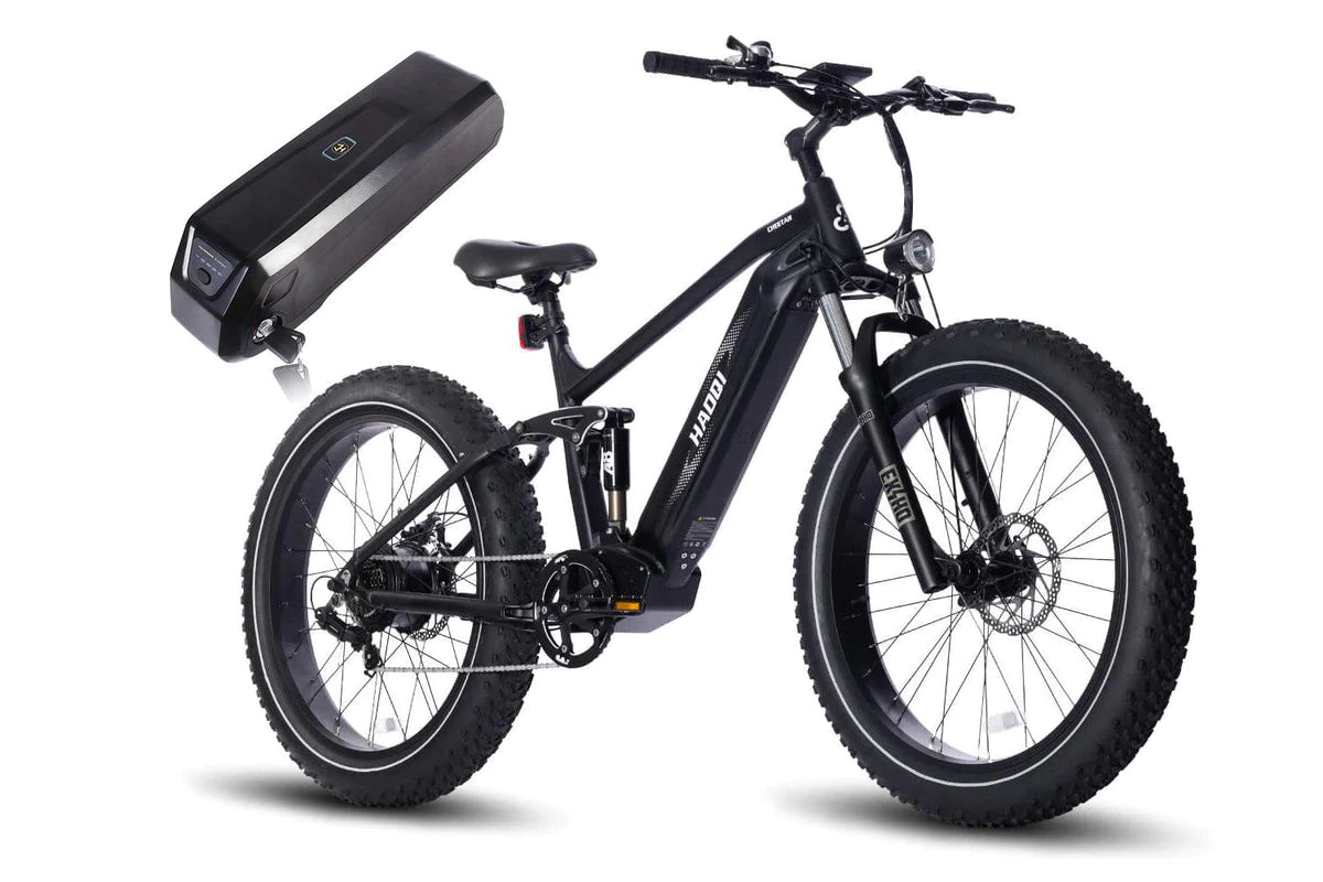 HAOQI Cheetah Full Suspension Electric Bike - 2 Battery Version