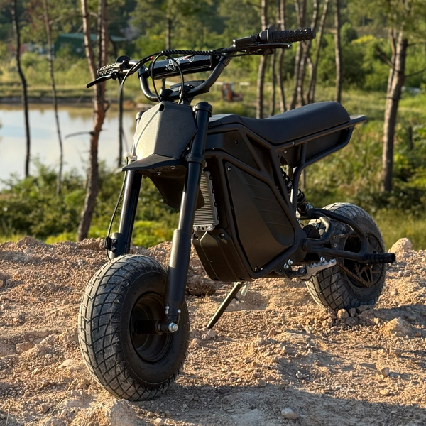 The Rizzler | Stunt-Ready Mini Bike Hybrid | Electro & Company