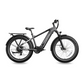 Mokwheel Basalt eBike