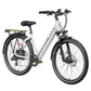 Mokwheel Asphalt Step-Through Commuter eBike